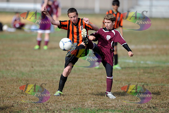 0701-JASD3S131013