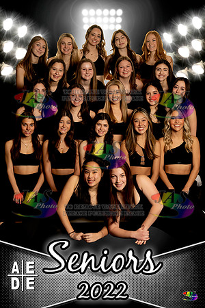 AEDE Banner22 Team Seniors