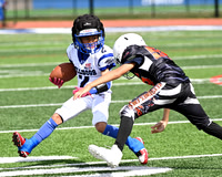 Montclair Bulldogs