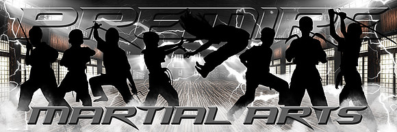 MA-ElectricDOJO PANO X