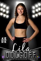 AEDE Banner26 Lila Dolgoff