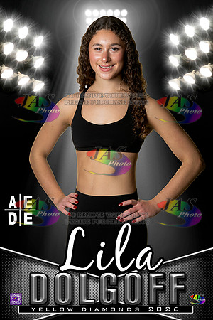 AEDE Banner26 Lila Dolgoff