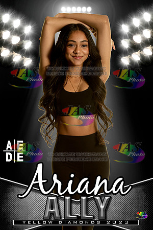 AEDE Banner23 Ally