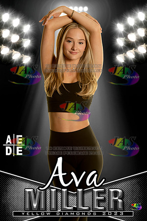 AEDE Banner23 Miller
