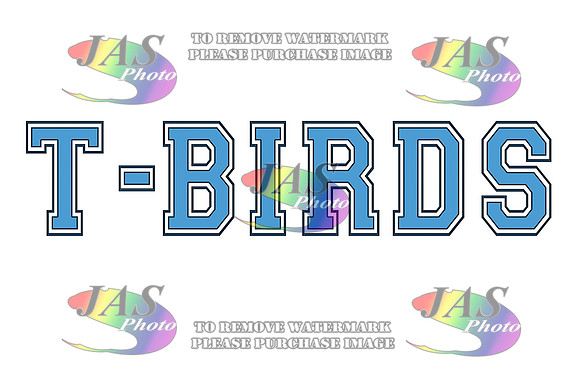 32x48 T-Birds W