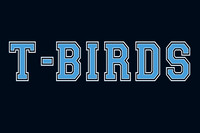 32x48 T-Birds B