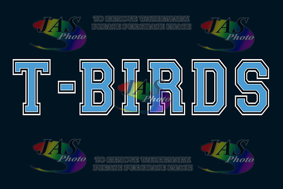 32x48 T-Birds B