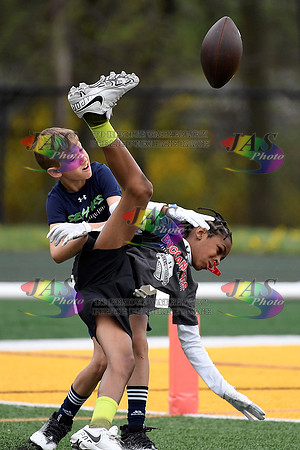 1774-JASD5a230416