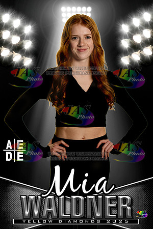 AEDE Banner25 Mia Waldner