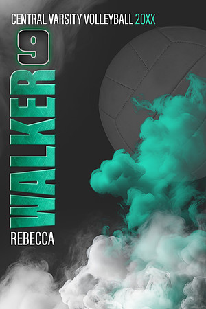 2x3BannerSportsLegendsVolleyball