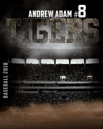 ANDREW ADAM-BASEBALL-16X20
