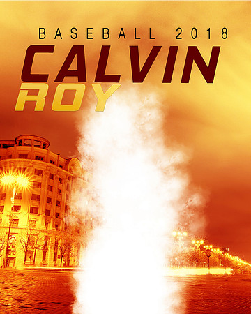 calvin roy baseball 16X20