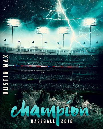 DUSTIN MAX-BASEBALL-16X20