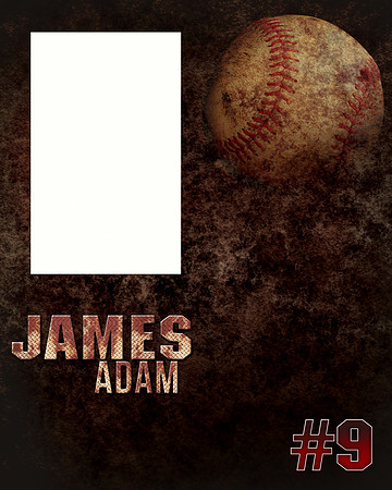 JAMES-ADAM-BASEBALL-16X20