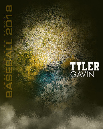 TYLER GAVIN-BASEBALL-16X20