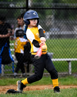 Baseball 25
