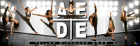 AEDE Pano Banner23B