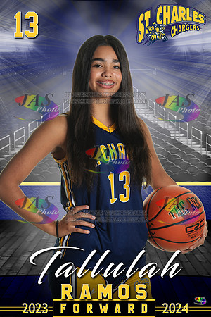1442 24 - Full Court 12x18 St Charles Basketball