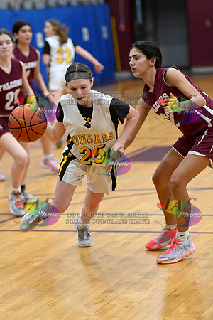 8993-JASD6b240201