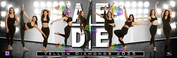 AEDE Pano Banner25