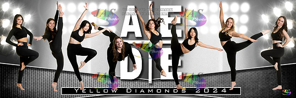 AEDE Pano Banner24