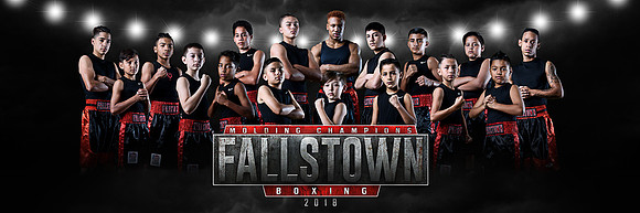 Fallstown_8x24_Panoramic