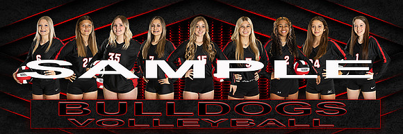 V sports 8x24 Panoramic psd