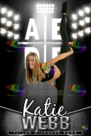 AEDE Banner22 Webb