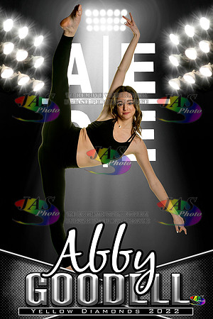 AEDE Banner22 Goodell