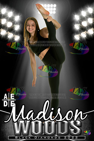 AEDE Banner22 Woods