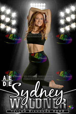 AEDE Banner22 Waldner