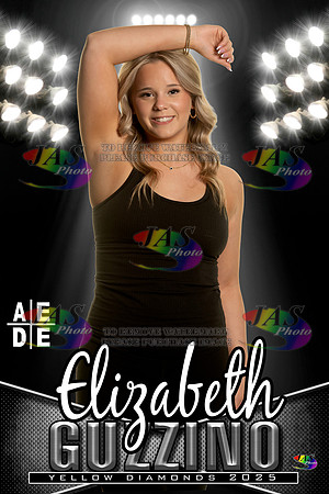 AEDE Banner25 Elizabeth Guzzino