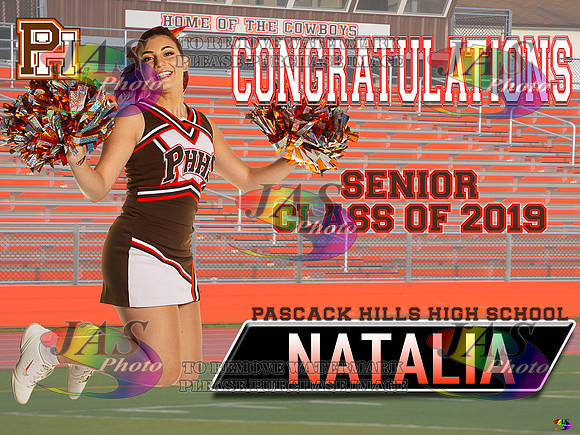 Lawn Sign PHHS19 #NataliaCheer