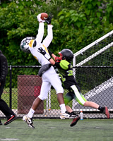 250531-Union Vipers Vs Irvington Golden Knights